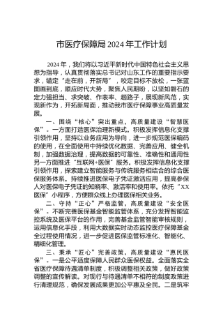 市医疗保障局2024年工作计划