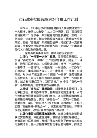 市行政审批服务局2024年度工作计划