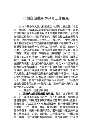市投资促进局2024年工作要点