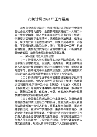 市统计局2024年工作要点 (2)