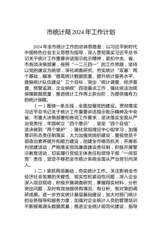 市统计局2024年工作计划