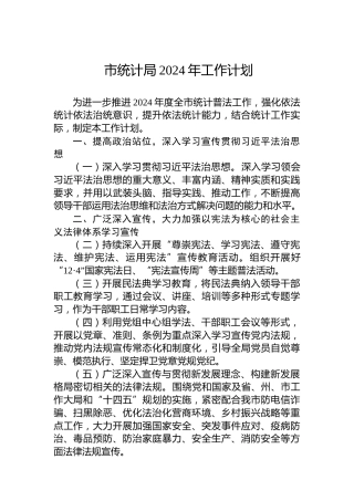 市统计局2024年工作计划 (4)