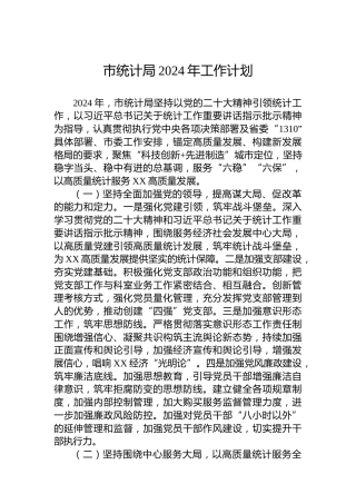 市统计局2024年工作计划 (3)