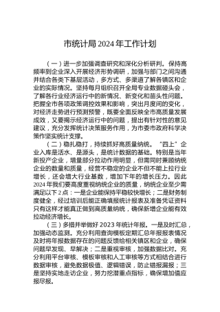 市统计局2024年工作计划 (2)
