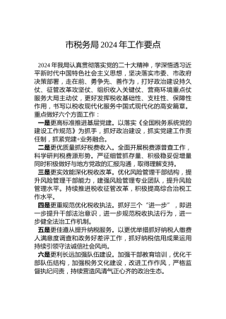 市税务局2024年工作要点