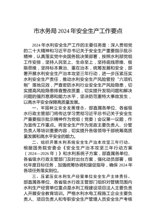 市水务局2024年安全生产工作要点