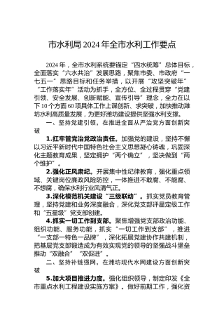 市水利局2024年全市水利工作要点