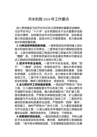 市水利局2024年工作要点
