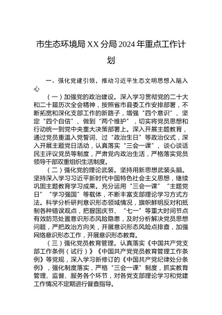 市生态环境局XX分局2024年重点工作计划