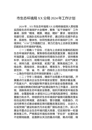 市生态环境局XX分局2024年工作计划