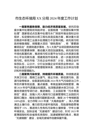 市生态环境局XX分局2024年度工作计划