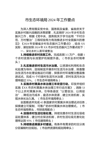 市生态环境局2024年工作要点
