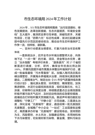 市生态环境局2024年工作计划(2)