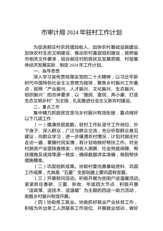 市审计局2024年驻村工作计划