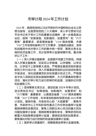 市审计局2024年工作计划