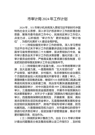 市审计局2024年工作计划 (2)