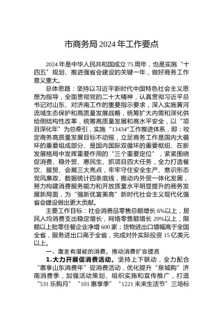 市商务局2024年工作要点