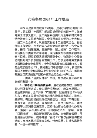 市商务局2024年工作要点 (2)