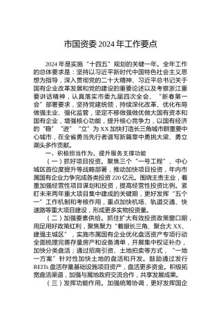 市国资委2024年工作要点 (2)