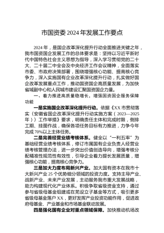 市国资委2024年发展工作要点