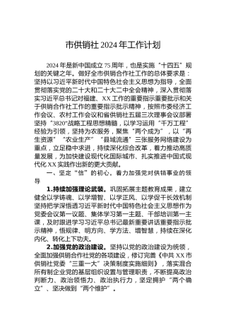 市供销社2024年工作计划