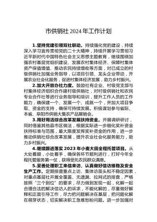 市供销社2024年工作计划(2)