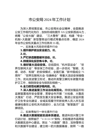 市公安局2024年工作计划 (2)