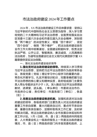 市法治政府建设2024年工作要点