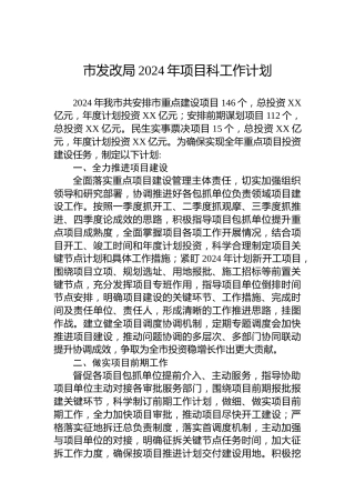 市发改局2024年项目科工作计划