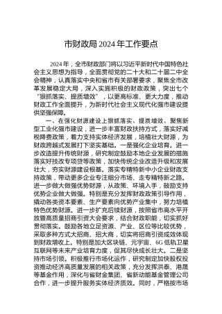 市财政局2024年工作要点