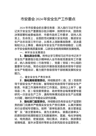 市安委会2024年安全生产工作要点 (2)