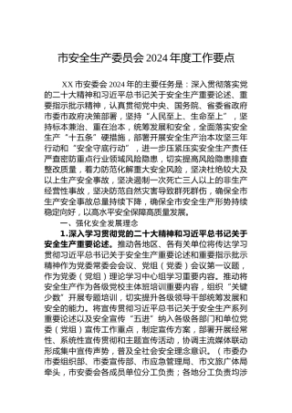 市安全生产委员会2024年度工作要点