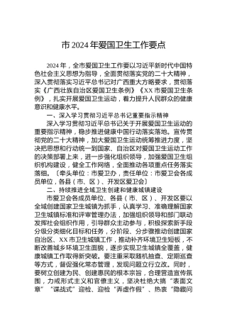 市2024年爱国卫生工作要点