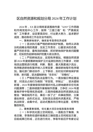区自然资源和规划分局2024年工作计划