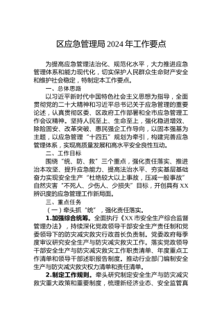 区应急管理局2024年工作要点