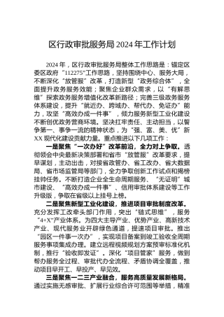 区行政审批服务局2024年工作计划