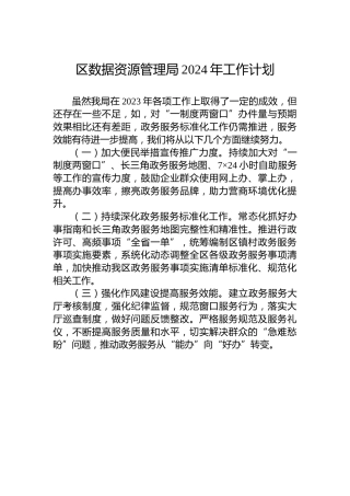 区数据资源管理局2024年工作计划