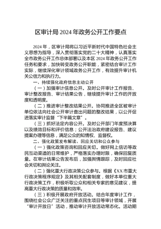 区审计局2024年政务公开工作要点