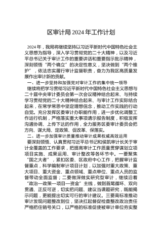 区审计局2024年工作计划