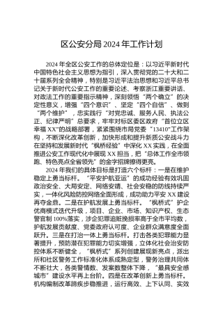 区公安分局2024年工作计划