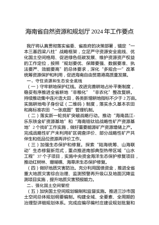 海南省自然资源和规划厅2024年工作要点