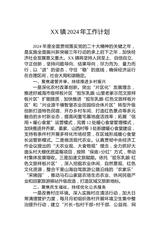 XX镇2024年工作计划 (3)
