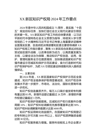 XX新区知识产权局2024年工作要点