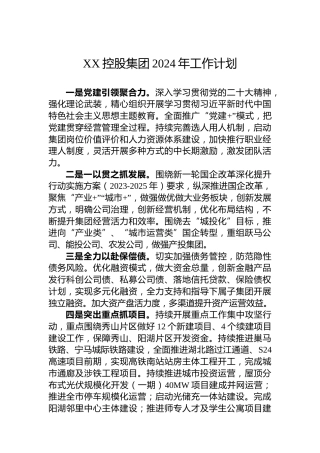XX控股集团2024年工作计划