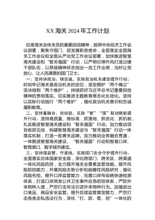 XX海关2024年工作计划