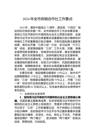 2024年全市供销合作社工作要点