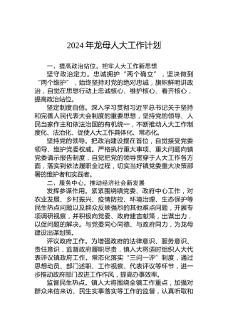 2024年龙母人大工作计划