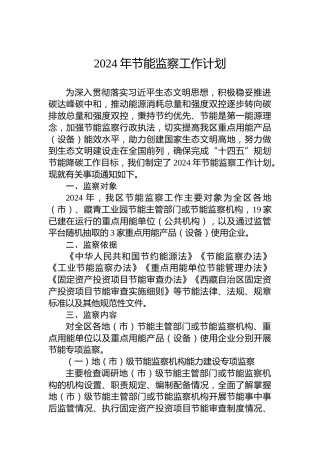 2024年节能监察工作计划