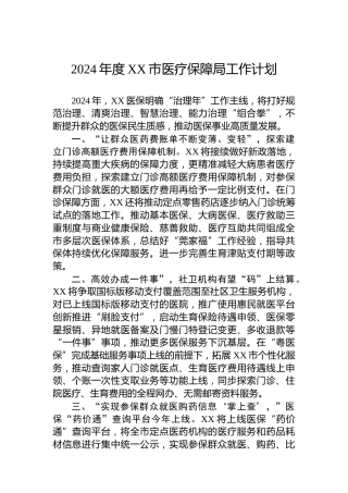2024年度XX市医疗保障局工作计划