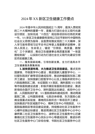 2024年XX新区卫生健康工作要点